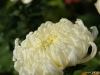 dsc00325