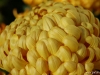 dsc00326