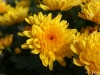 dsc00327