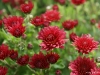 dsc00329