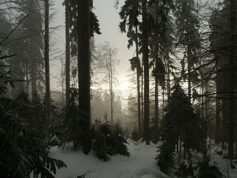 Rauhnacht im Mühlviertel